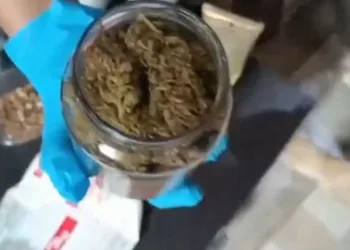 Adana’da uyuşturucu operasyonu: 3 şüpheli yakalandı