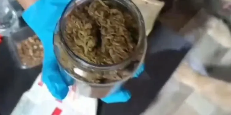 Adana’da uyuşturucu operasyonu: 3 şüpheli yakalandı