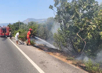 Ula’da yol kenarında başlayan alevler korkuttu