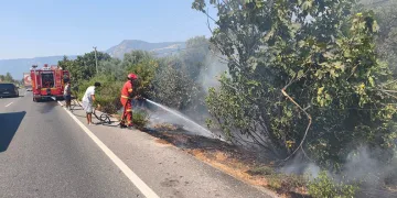 Ula’da yol kenarında başlayan alevler korkuttu