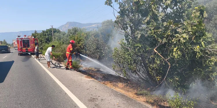 Ula’da yol kenarında başlayan alevler korkuttu