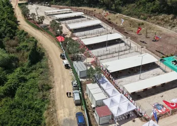 Hayvanseverlerden Gemlik Belediyesi’ne tepki