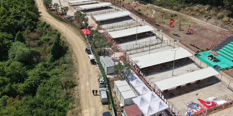 Hayvanseverlerden Gemlik Belediyesi’ne tepki