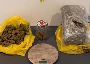 Samsun’da uyuşturucu operasyonu: 12 kişi yakalandı