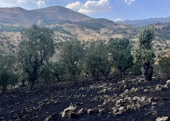 Siirt’te 5 ayrı noktada yangın alarmı