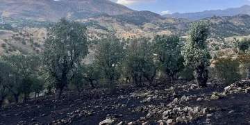Siirt’te 5 ayrı noktada yangın alarmı