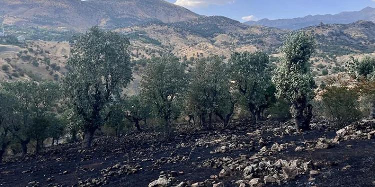 Siirt’te 5 ayrı noktada yangın alarmı