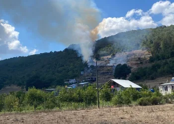 Kestel’de tarım arazisinde başlayan yangın ormana sıçradı