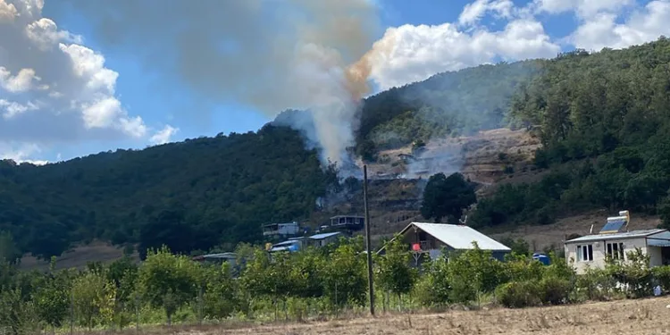 Kestel’de tarım arazisinde başlayan yangın ormana sıçradı
