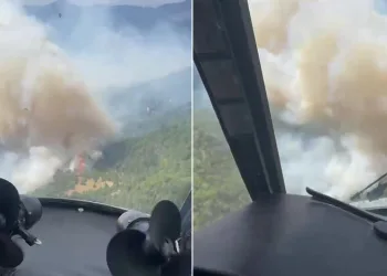 Beşkonak’ta orman yangını