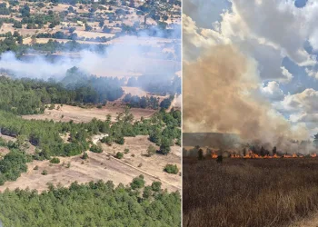 Harmancık’ta orman dışı alanda yangın: Ekipler müdahale ediyor