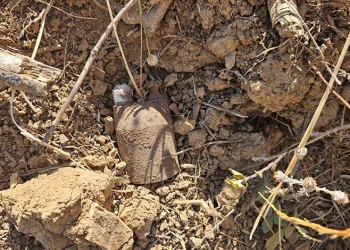 Bursa’da kurtuluş savaşından kalma el bombaları bulundu