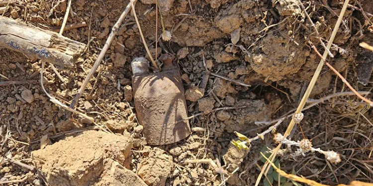 Bursa’da kurtuluş savaşından kalma el bombaları bulundu