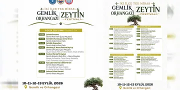 Ortak Değer Zeytin Orhangazi ve Gemlik Belediyelerinin Öncülüğünde Tanıtılacak