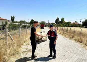 Hayvanları kaybolan çiftçinin yardımına Jandarma ekipleri koştu