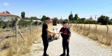 Hayvanları kaybolan çiftçinin yardımına Jandarma ekipleri koştu
