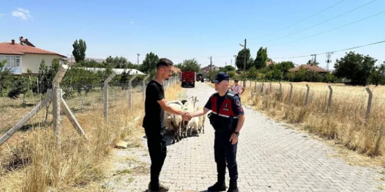 Hayvanları kaybolan çiftçinin yardımına Jandarma ekipleri koştu