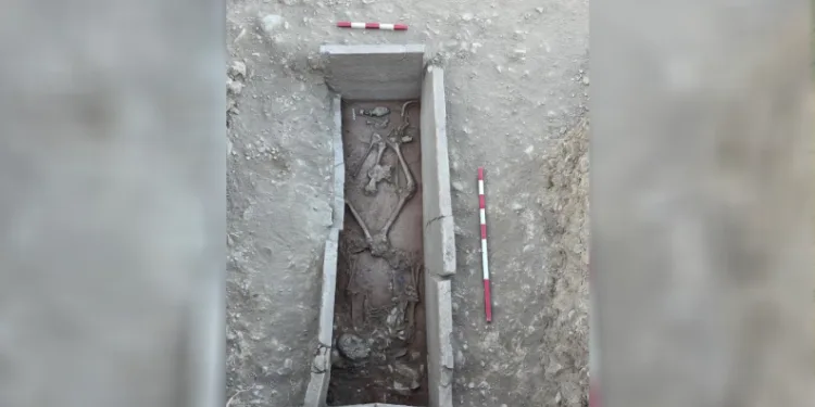 Ersoy’dan Aspendos Kazıları Açıklaması