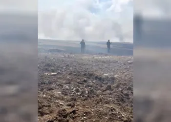 Hasat edilmiş buğday tarlasında çıkan yangın yerleşim yerlerine sıçramadan söndürüldü