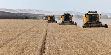 Yozgat’ta mercimek hasadının ardından patoz mesaisi başladı