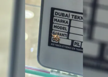  Diyarbakır’da bir telefoncu tarafından fotoğraflanan kahverengi kokarca böceğinin sırtındaki desenler, adeta iki göz ve bir ağız şeklinde görünmesiyle dikkat çekti.