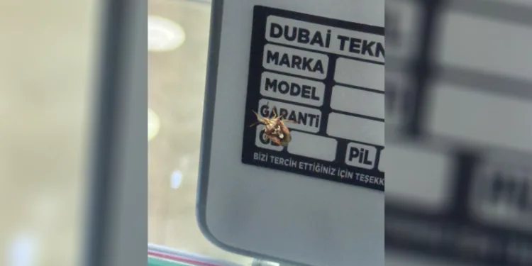 Diyarbakır’da bir telefoncu tarafından fotoğraflanan kahverengi kokarca böceğinin sırtındaki desenler, adeta iki göz ve bir ağız şeklinde görünmesiyle dikkat çekti.