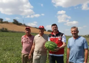 Tekirdağ karpuzu tezgâhlara çıkıyor