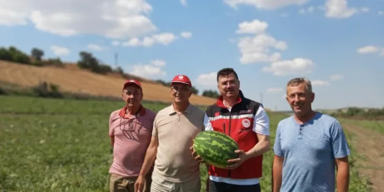 Tekirdağ karpuzu tezgâhlara çıkıyor