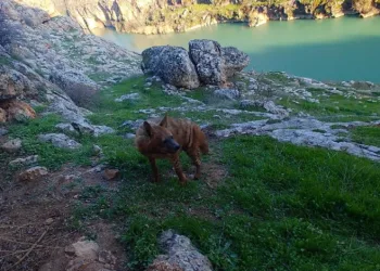 Doğal yaşamı bozanlara 5 Milyon TL’ye kadar ceza