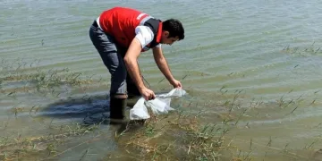 Tekirdağ’da göletlere 150 bin balık bırakıldı