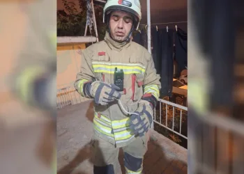 Hatay’da yerleşim yerlerine giren yılanlar yakalandı