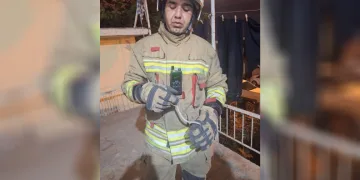 Hatay’da yerleşim yerlerine giren yılanlar yakalandı