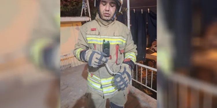 Hatay’da yerleşim yerlerine giren yılanlar yakalandı