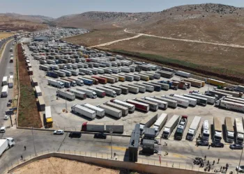 Cilveligözü’nde ticaret aralıksız sürüyor