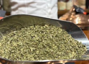 Yalova kekiği ilaç sektörünün gözdesi