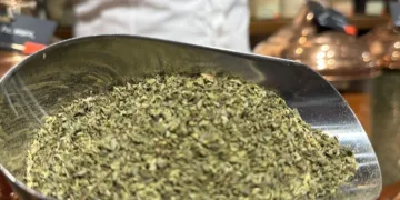 Yalova kekiği ilaç sektörünün gözdesi