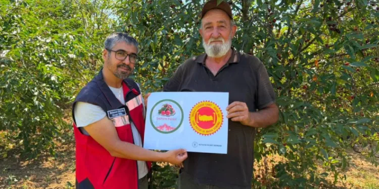 Şaphane Vişnesi için tescil çalışmaları sürüyor