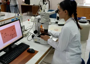 Türkiye’de ilk: Embriyo transferiyle ülkedeki sığırların genetiği değişecek
