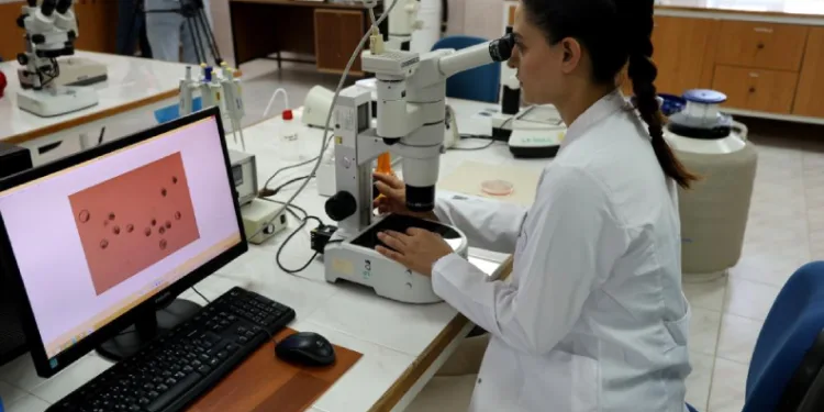 Türkiye’de ilk: Embriyo transferiyle ülkedeki sığırların genetiği değişecek
