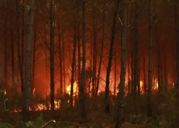 Fransa’da orman yangını riski nedeniyle 50 vilayette turuncu alarma geçildi