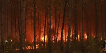 Fransa’da orman yangını riski nedeniyle 50 vilayette turuncu alarma geçildi