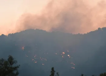 Antalya’daki orman yangını kontrol altında