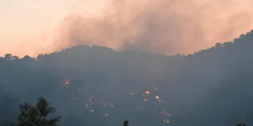 Antalya’daki orman yangını kontrol altında