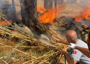 Yangına müdahale eden belediye çalışanları ödüllendirildi