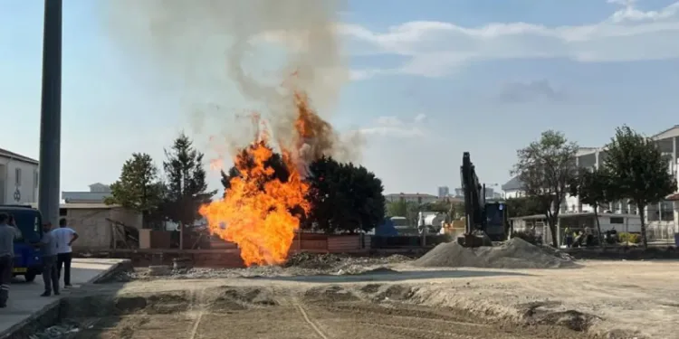 Tekirdağ’da doğalgaz hattında yangın çıktı