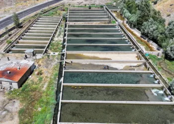 Alabalık yetiştiricisi, devlet desteğiyle büyüttüğü tesisin kapasitesini 250 tona çıkardı