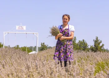 Mersin’de kadın girişimci lavantayı kazanca dönüştürdü