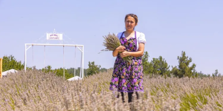 Mersin’de kadın girişimci lavantayı kazanca dönüştürdü