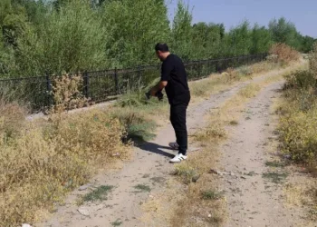 Yoldaki kaplumbağayı duyarlı vatandaş kurtardı