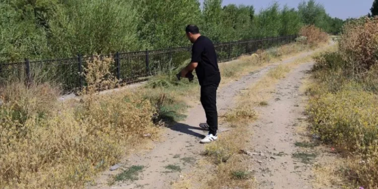 Yoldaki kaplumbağayı duyarlı vatandaş kurtardı